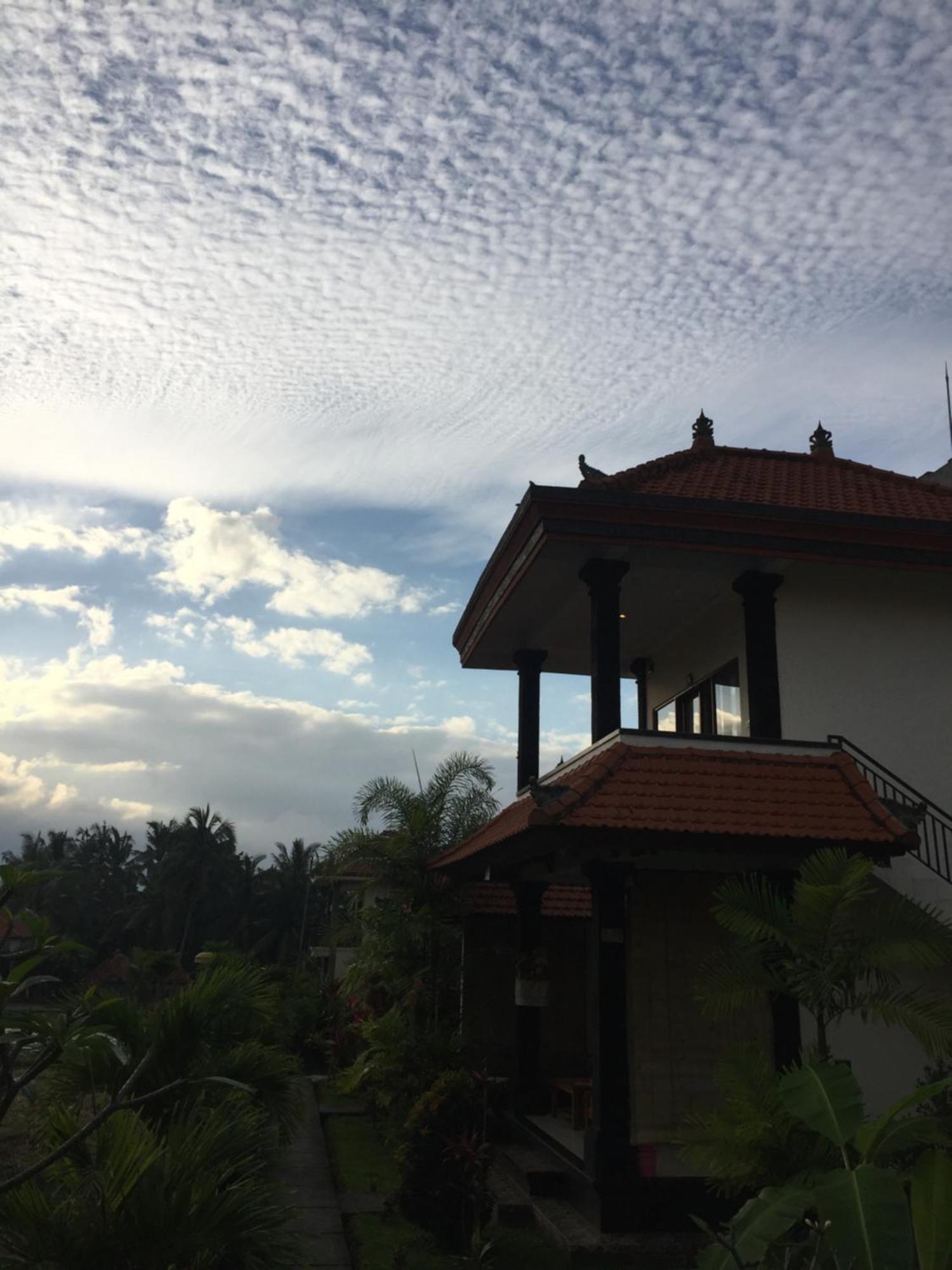 Sari Bungalow Ubud Extérieur photo