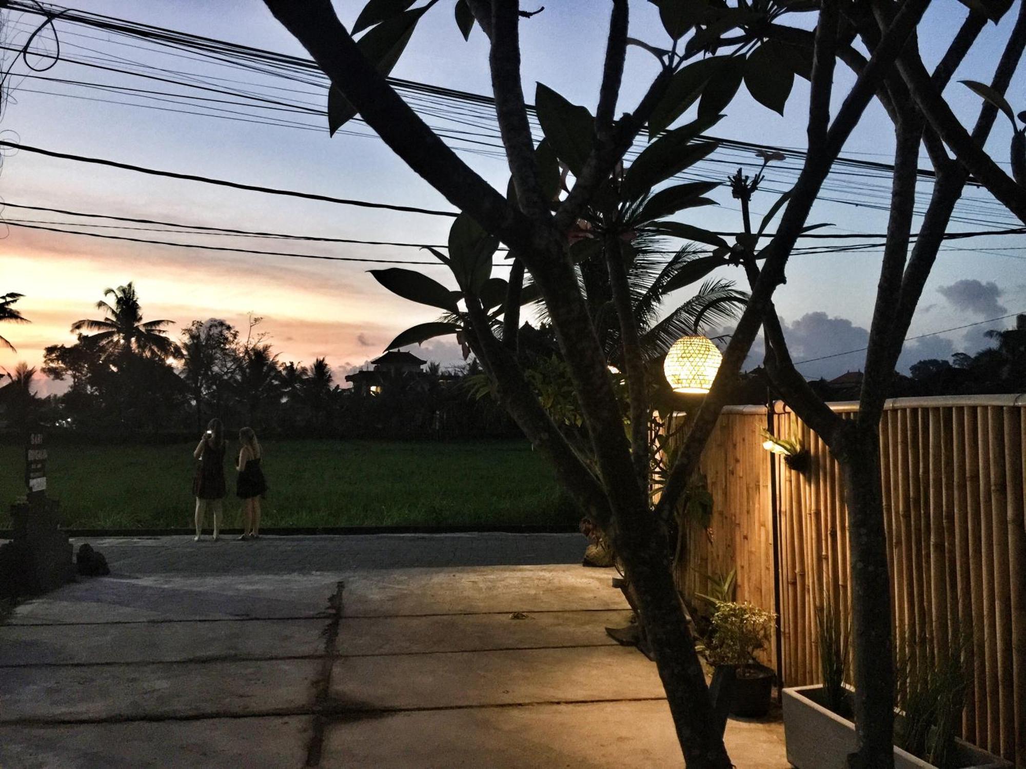 Sari Bungalow Ubud Extérieur photo
